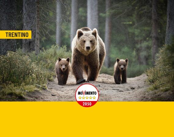 In Trentino una strage di orsi e il ministro dell’Ambiente non fa nulla